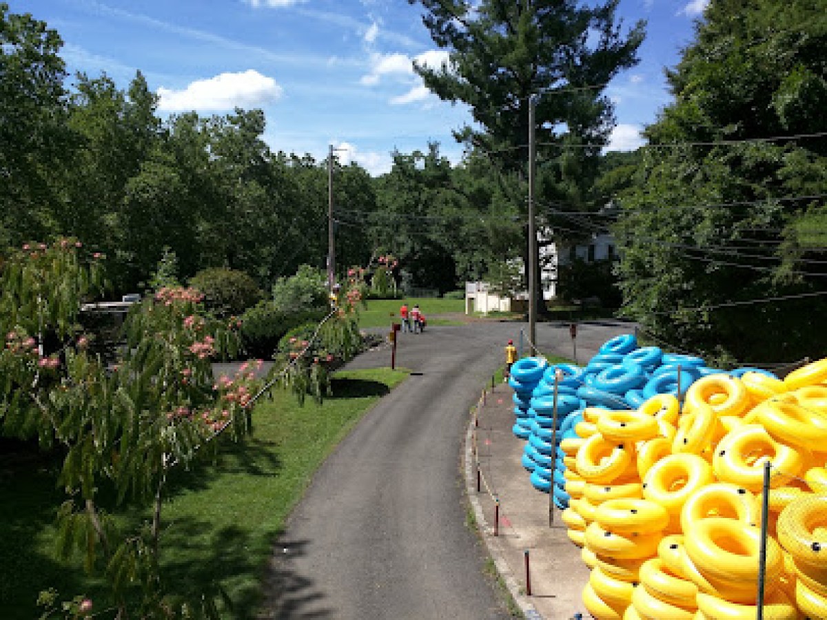 a close up of a fruit tree