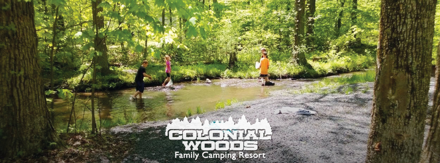 a group of people in a forest